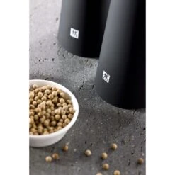 Zwilling 19 Cm Plastic Salt Mill 8 Zwilling 19 Cm Plastic Salt Mill -Zwilling Sales Store 000021025