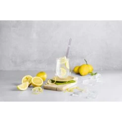 Zwilling Glass Straws -Zwilling Sales Store 750039517