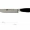 Zwilling 30070-161 Four Star II Carving Knife -Zwilling Sales Store ZW30070 161 01 zwilling four star ii zw30070 161 01