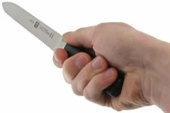 Zwilling 31070-130 Four Star Sausage Knife -Zwilling Sales Store ZW31070 130 05 zwilling four star zw31070 130 05