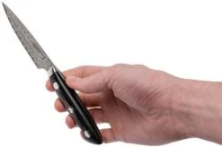 Bob Kramer By Zwilling Euro Stainless Paring Knife 10 Cm, 34890-101-0 -Zwilling Sales Store ZW34890 101 0 06 zwilling bob kramer zw34890 101 0 06