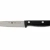 Zwiling 34910-101 Twin Chef Peeling Knife 2 Zwiling 34910-101 Twin Chef Peeling Knife -Zwilling Sales Store ZW34910 101 01 zwilling twin chef zw34910 101 d1