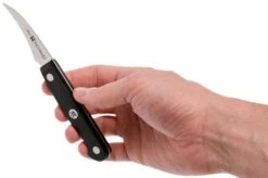 Zwilling Gourmet Turning Knife 6 Cm, 36110-061 -Zwilling Sales Store ZW36110 061 0 06 zwilling gourmet zw36110 061 0 06