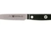 Zwilling Gourmet Paring Knife 10 Cm, 36110-101