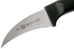 Zwilling Life Turning Knife 6 Cm, 38580-051-0 -Zwilling Sales Store ZW38580 051 0 03 zwilling zw38580 051 0 03