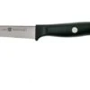 Zwilling Life Vegetable Knife, 38580-091-0 -Zwilling Sales Store ZW38580 091 0 01 zwilling life zw38580 091 0 01