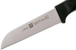 Zwilling Life Vegetable Knife, 38580-091-0 -Zwilling Sales Store ZW38580 091 0 03 zwilling life zw38580 091 0 03