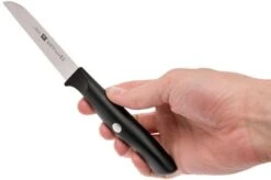 Zwilling Life Vegetable Knife, 38580-091-0 -Zwilling Sales Store ZW38580 091 0 06 zwilling life zw38580 091 0 06