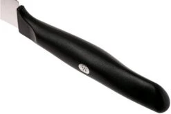 Zwilling Life Carving Knife, 38580-161-0 -Zwilling Sales Store ZW38580 161 0 04 zwilling life zw38580 161 0 04