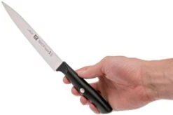 Zwilling Life Carving Knife, 38580-161-0 -Zwilling Sales Store ZW38580 161 0 06 zwilling life zw38580 161 0 06 1