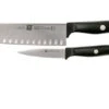 Zwilling Life 2-piece Set, 38590-000-0 -Zwilling Sales Store ZW38590 000 0 01 zwilling life zw38590 000 0 01