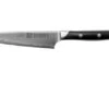Zwilling Diplôme Paring Knife 12 Cm, 54202-121 -Zwilling Sales Store ZW54202 121 01 zwilling diplome zw54202 121 01