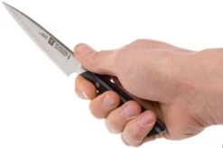 Zwilling Diplôme Paring Knife 12 Cm, 54202-121 -Zwilling Sales Store ZW54202 121 07 zwilling diplome zw54202 121 07