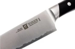 Zwilling Diplôme Carving Knife 23 Cm, 54205-241 -Zwilling Sales Store ZW54205 241 04 zwilling diplome zw54205 241 04